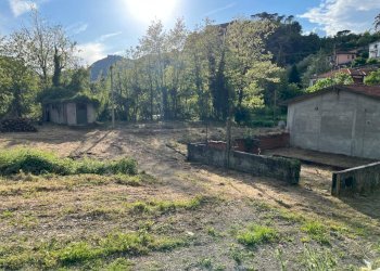 Immagine WhatsApp 2025-05-09 ore 18.45.30_057740f1 - Terreno agricolo Aulla - foto 11