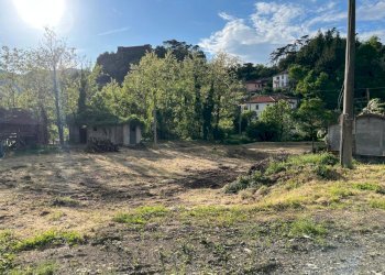 Immagine WhatsApp 2025-05-09 ore 18.45.32_67b317a0 - Terreno agricolo Aulla - foto 12