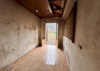 TERRENO 3.jpeg - Terreno agricolo Aulla - foto 17