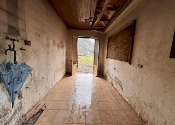 TERRENO 6.jpeg - Terreno agricolo Aulla - foto 20