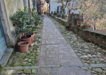 WhatsApp Image 2025-02-28 at 16.22.41 (7).jpeg - Casa semi indipendente Vezzano Ligure - foto 18