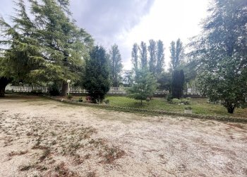 WhatsApp Image 2024-09-18 at 09.48.27.jpeg - Casale Castelbellino - foto 20