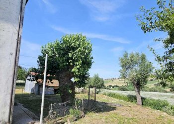 WhatsApp Image 2024-06-24 at 19.01.38.jpeg - Villa Belvedere Ostrense - foto 20