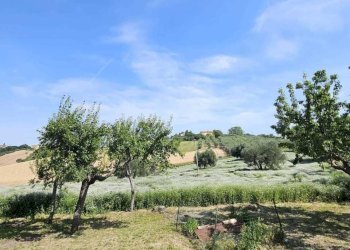 WhatsApp Image 2024-06-24 at 19.01.37 (1).jpeg - Villa Belvedere Ostrense - foto 21