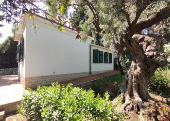 8514968e-7f33-44cf-8ca3-6eb16e3a12fe.JPG - Villa Siracusa - foto 6