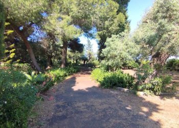 17f42aec-7f9a-4836-9edc-14469db213c3.JPG - Villa Siracusa - foto 13