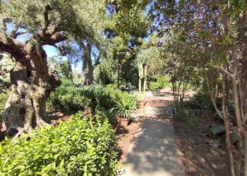 27b61ef7-75ee-4981-a284-ee96878d5f3a.JPG - Villa Siracusa - foto 14