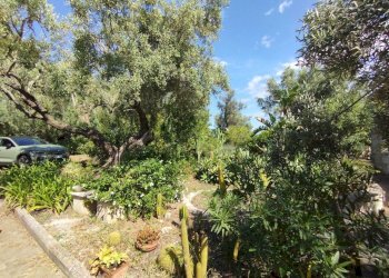 535dea7d-fa52-4f8d-816b-38083992bda8.JPG - Villa Siracusa - foto 19