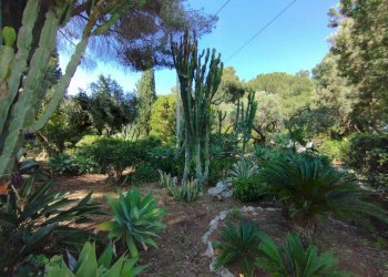 7483fd38-d499-4965-87c6-e27209b4deb0.JPG - Villa Siracusa - foto 25