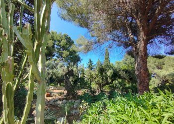 b0d8bb2d-2078-4649-a86a-41ef5b7e29e5.JPG - Villa Siracusa - foto 29