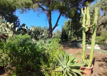 c6766d5e-e74b-4262-a1b1-1265e40017c7.JPG - Villa Siracusa - foto 30