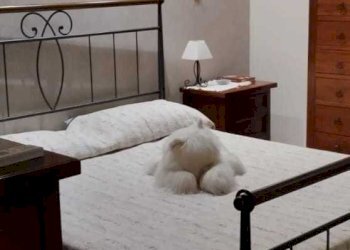 Casa indipendente Siracusa - foto 6