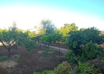 Villa Siracusa - foto 6