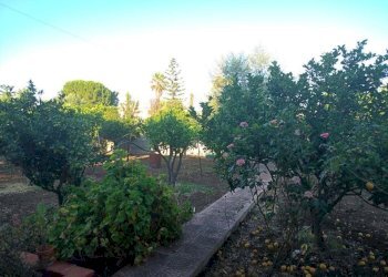 Villa Siracusa - foto 13