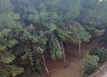 WhatsApp Image 2025-03-03 at 17.07.58 (1).jpeg - Appartamento Siracusa - foto 5