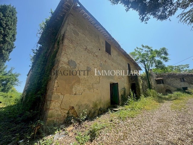 IMG_0768.jpg - Casale Livorno - photo 3