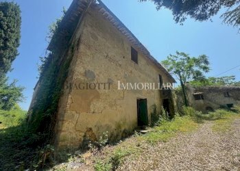 IMG_0768.jpg - Casale Livorno - foto 3