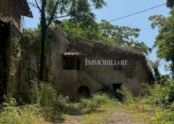 IMG_0769.jpg - Casale Livorno - foto 4