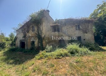 IMG_0772.jpg - Casale Livorno - foto 7