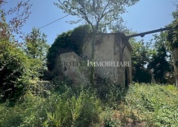 IMG_0773.jpg - Casale Livorno - foto 8