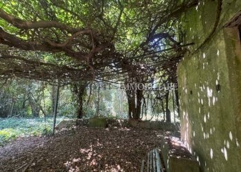 IMG_0783.jpg - Casale Livorno - foto 15