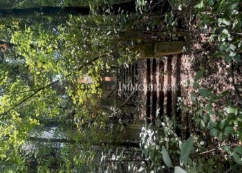 IMG_0784.jpg - Casale Livorno - foto 16