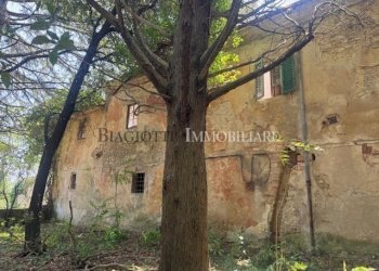 IMG_0786.jpg - Casale Livorno - foto 18