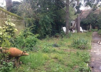 foto 5_5.JPG - Casa semi indipendente Livorno - foto 24