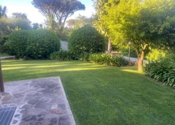 giardino - Villa Vicolo del Casale Lumbroso, Roma - foto 29