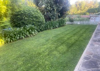 giardino - Villa Vicolo del Casale Lumbroso, Roma - foto 30