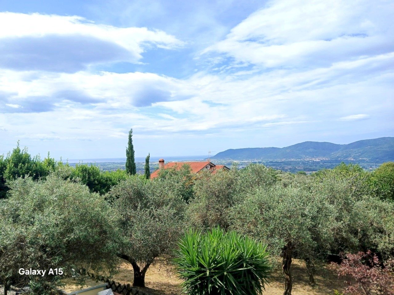 mod2727.JPG - Villa Sarzana - photo 2