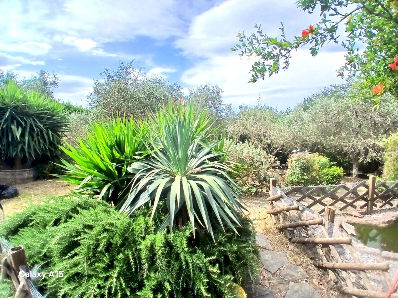 LAGHETTO RATARUGHE1.JPG - Villa Sarzana - photo 3