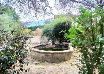 mod55.JPG - Villa Sarzana - foto 4