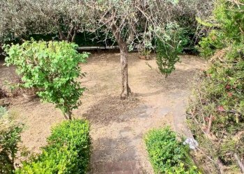 mod33.JPG - Villa Sarzana - foto 5