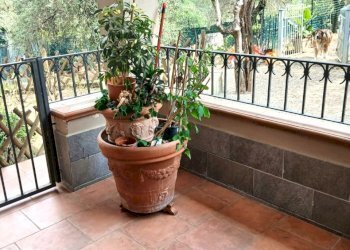 mod2020.JPG - Villa Sarzana - foto 8