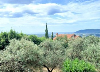 VISTA.JPG - Villa Sarzana - foto 20