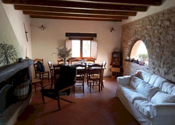 WhatsApp Image 2025-05-10 at 11.46.43 (2).jpeg - Rustico Casola in Lunigiana - foto 8