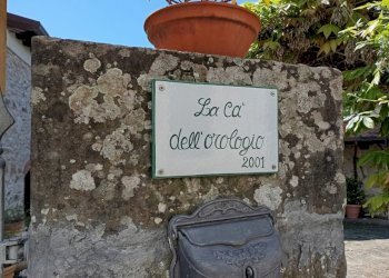 WhatsApp Image 2025-05-10 at 11.46.41 (2).jpeg - Rustico Casola in Lunigiana - foto 11