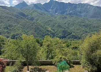 WhatsApp Image 2025-05-10 at 11.46.42 (1).jpeg - Rustico Casola in Lunigiana - foto 13