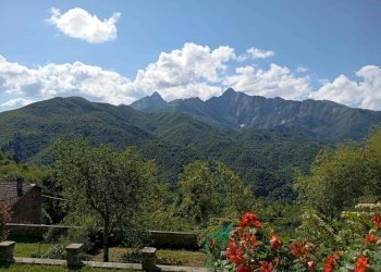 WhatsApp Image 2025-05-10 at 11.46.45 (2).jpeg - Rustico Casola in Lunigiana - foto 23