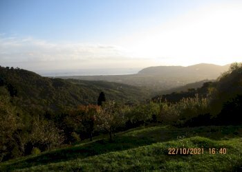 WhatsApp Image 2025-02-08 at 18.47.55 (4).jpeg - Terreno edificabile Via Centrale 16, Castelnuovo Magra - foto 11