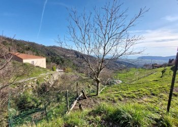 WhatsApp Image 2025-02-08 at 18.47.55 (1).jpeg - Villa Via Centrale 16, Castelnuovo Magra - photo 12