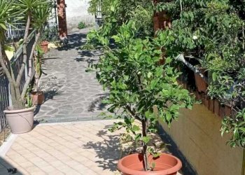 IMG-20230726-WA0030.jpg - Quadrilocale Fosdinovo - foto 8