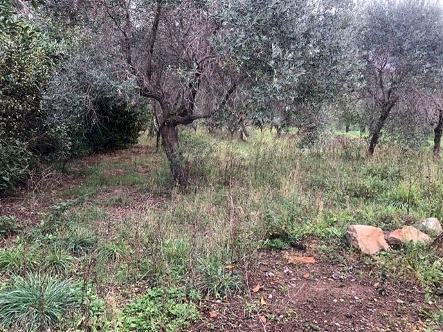 PHOTO-2022-11-12-10-28-17.jpg - Villa Santo Stefano di Magra - foto 3