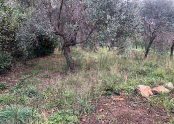 PHOTO-2022-11-12-10-28-17.jpg - Villa Santo Stefano di Magra - foto 3