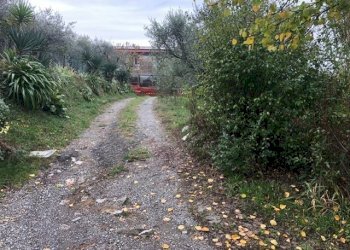 PHOTO-2022-11-12-10-28-12.jpg - Villa Santo Stefano di Magra - foto 5