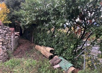 PHOTO-2022-11-12-10-28-14.jpg - Villa Santo Stefano di Magra - foto 10