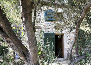 d27bec738327d2a5520e379ae1067956_orig.jpg - Rustic Riomaggiore - photo 1