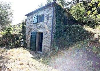 a8497b724bf8f7fa8a4a812ba6b86938_orig.jpg - Rustic Riomaggiore - photo 2