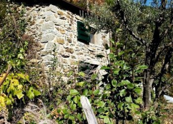 b8195a1515788a823a0c2a9e71097bc8_orig.jpg - Rustic Riomaggiore - photo 3